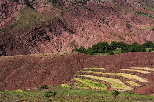 Erosion landscape with small fields