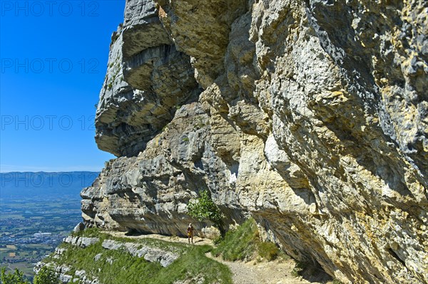 Narrow balcony path La Corraterie with panoramic view of the Geneva basin on the way to the summit Mont Saleve