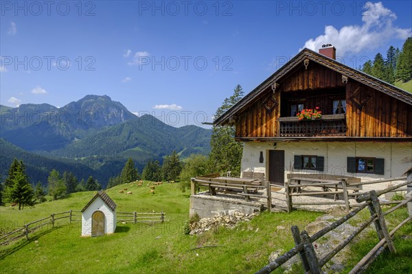 Hansenalm at Farrenpoint near Bad Feilnbach