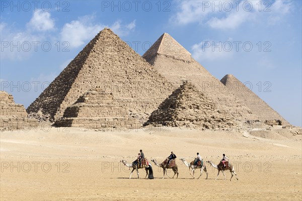 Camel riding at the pyramid complex