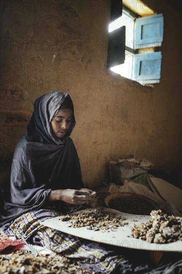 Frankincense dealer