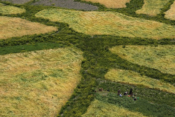 Small barley and vegetable fields with working people in the Indus Valley