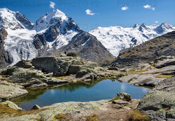 Small mountain lake on Fuorcla Surlej with Piz Roseg and Piz Glueschaint