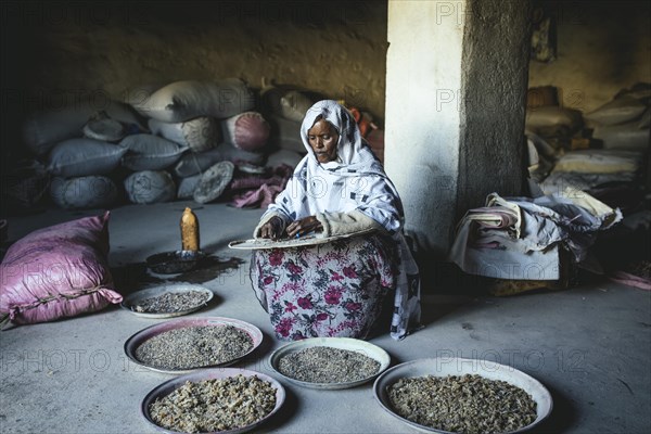 Incense dealer in Erigavo