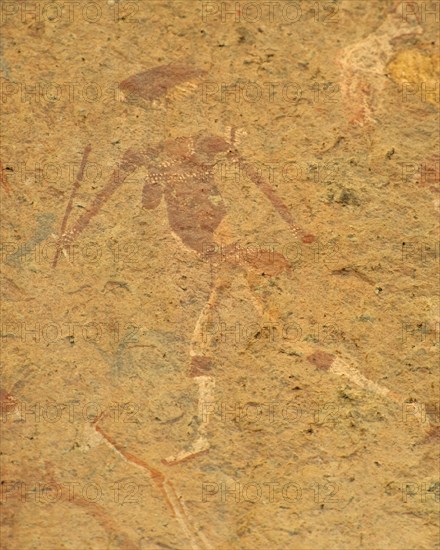 Peinture rupestre polychrome - Namibie