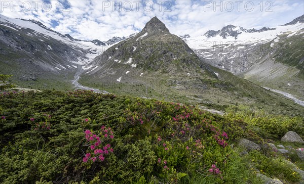 Mountains on the Berliner Hoehenweg