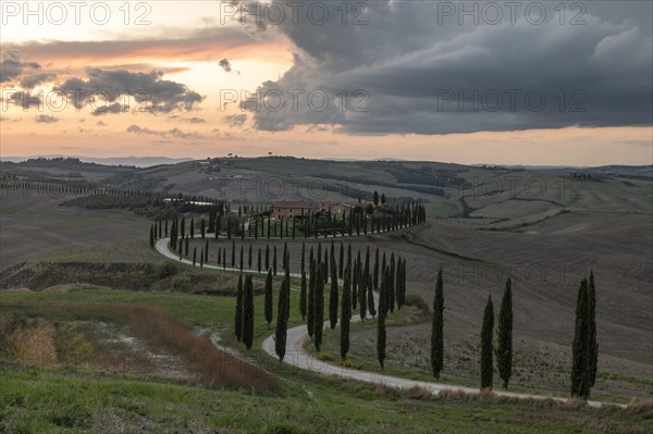 Agriturismo Baccoleno with cypress avenue