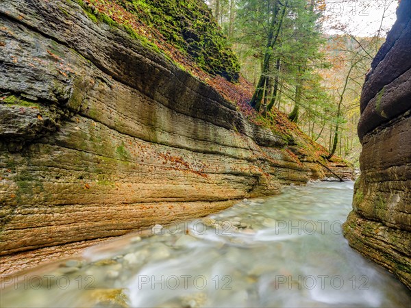 Course of the Taugl or Tauglbach brook