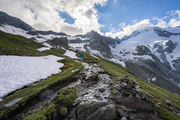 Snow field