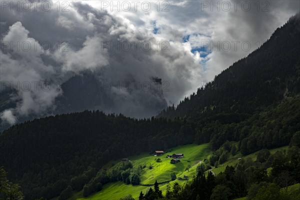 Mountain huts in sunny spot on mountain meadow with mountain forest behind