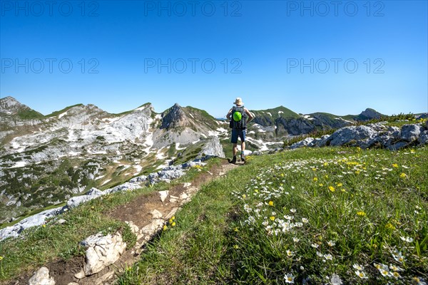 Hiker on a hiking trail