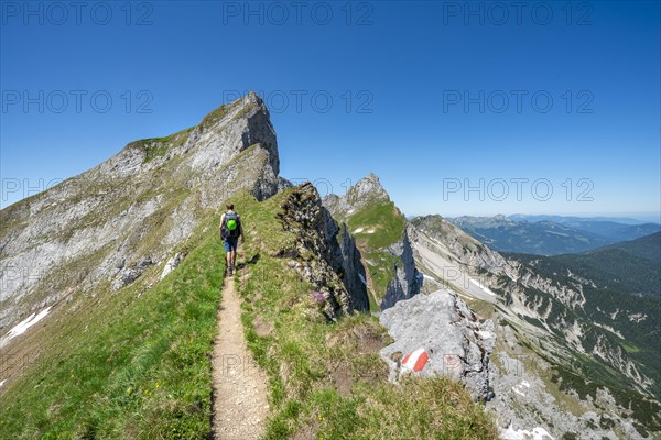 Hiker on a hiking trail