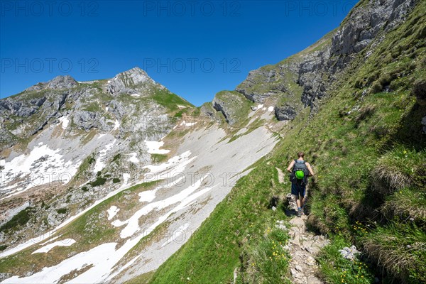 Hiker on a hiking trail