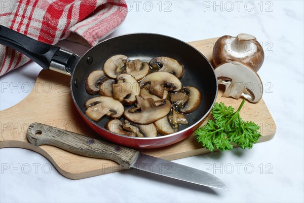 Mushroom