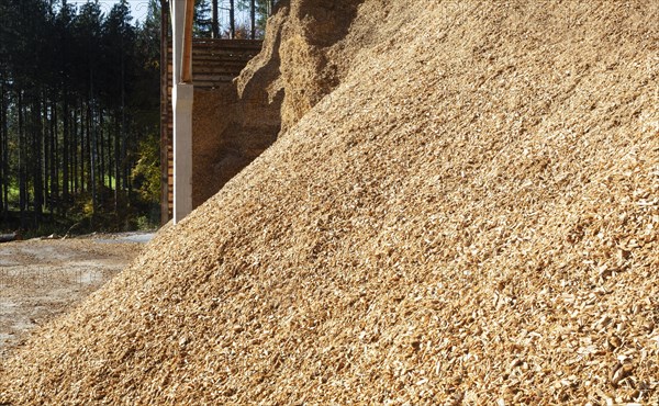 Wood chips