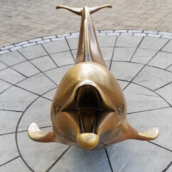 Bronze sculpture of Dolphin Fungie