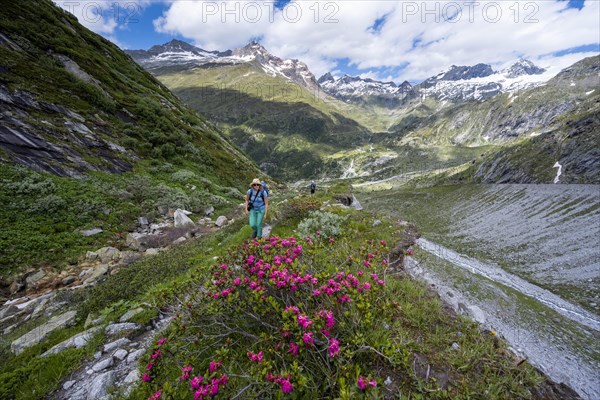 Hiker on the ascent to the Schoenbichler Horn from the Berliner Huette