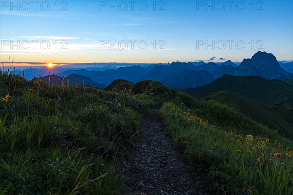 Small mountain path with flower meadow and Allgaeu Alps behind it at sunrise