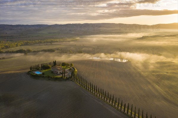 Country estate Poggio Covili with cypress avenue