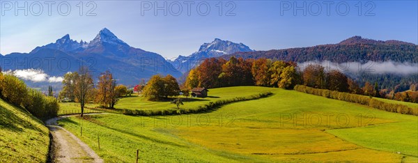 Autumn landscape