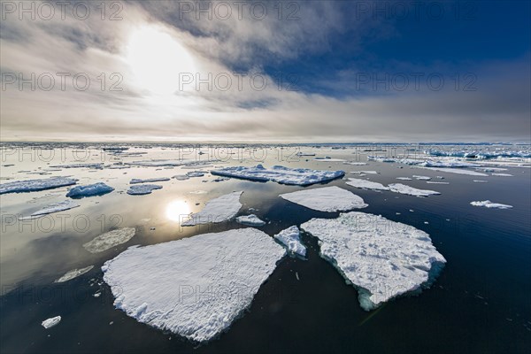 Ice field in the sea