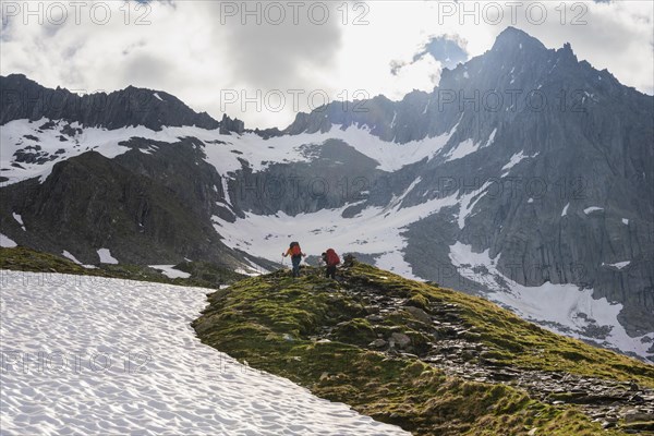 Snow field