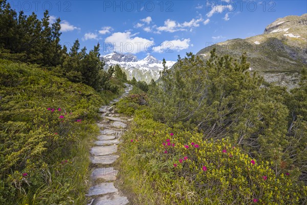 Hiking trail