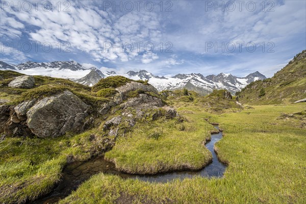 Mountain stream in a high moor