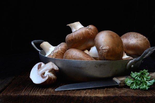 Brown cultivated mushrooms in shell with knife