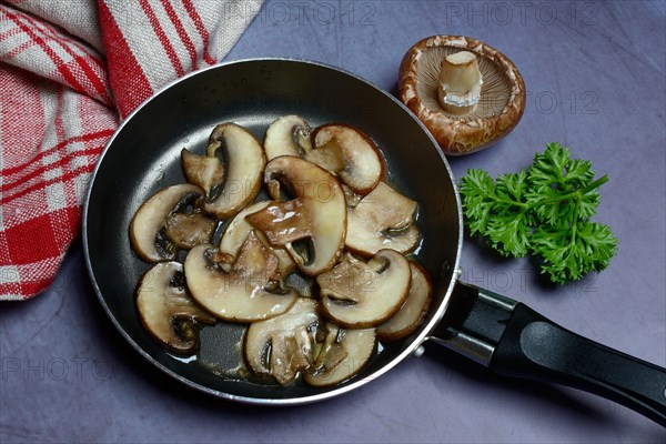 Mushroom