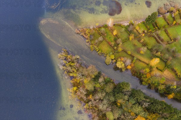River delta of the Wangauer Ache into the Mondsee with autumnally discoloured mixed forest