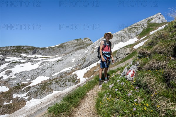 Hiker on a hiking trail