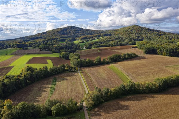 View from Michelsberg to autumnal cultural landscape