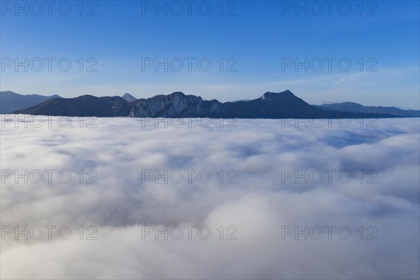 Dragon wall and sheds rising out of the sea of fog