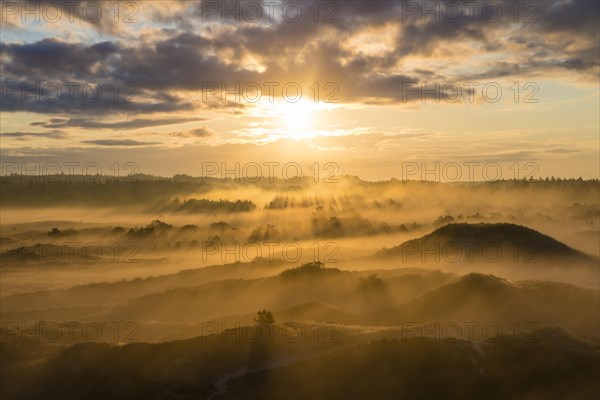 Sunrays penetrate the early morning fog over heath landscape