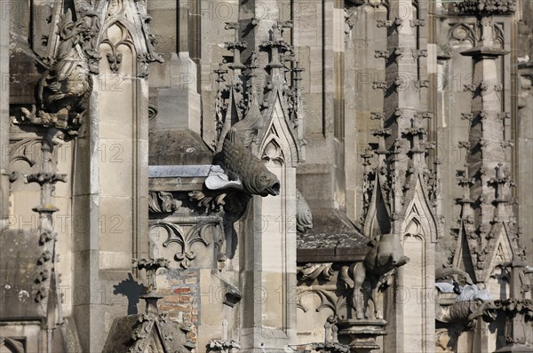 Ulm Cathedral