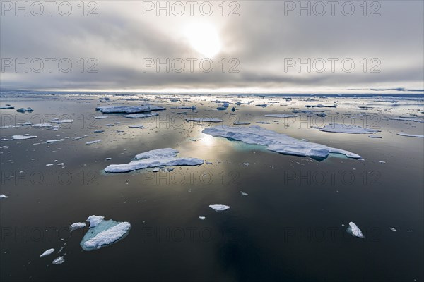 Ice field in the sea