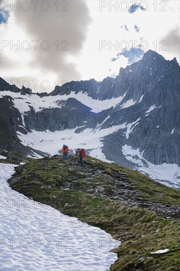 Snow field