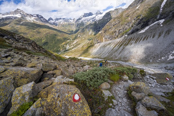 Hiker on marked hiking trail