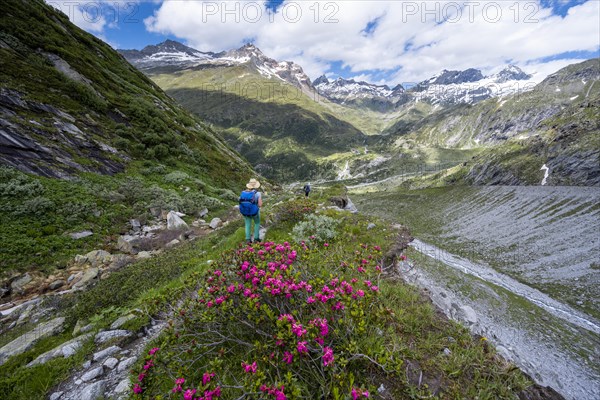 Hiker on the descent from the Schoenbichler Horn to the Berliner Huette
