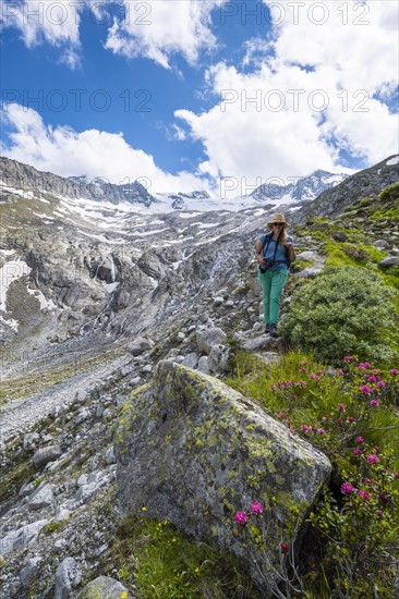 Hiker on the descent from Schoenbichler Horn to the Berliner Huette