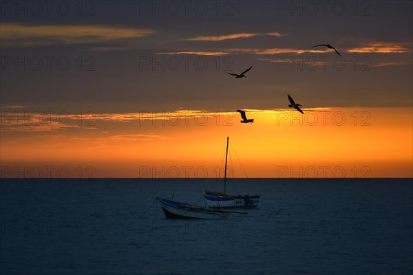 Fishing boats and pelicans at sunset with clouds over the Pacific Ocean