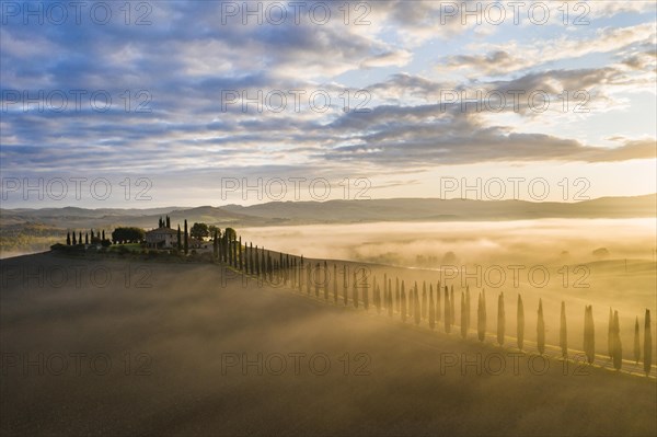 Country estate Poggio Covili with cypress avenue