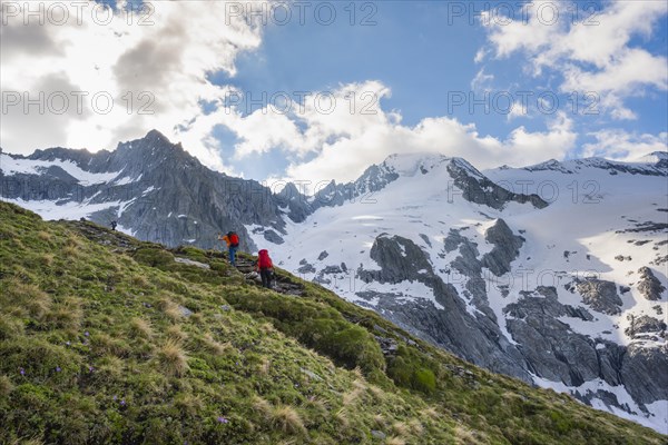 Snow field