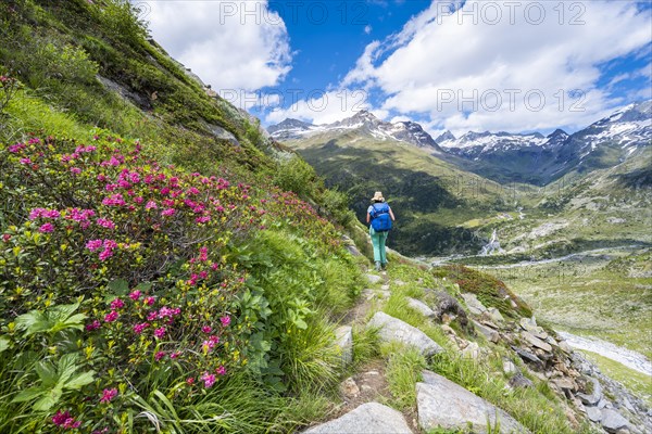 Hiker on the descent from the Schoenbichler Horn to the Berliner Huette