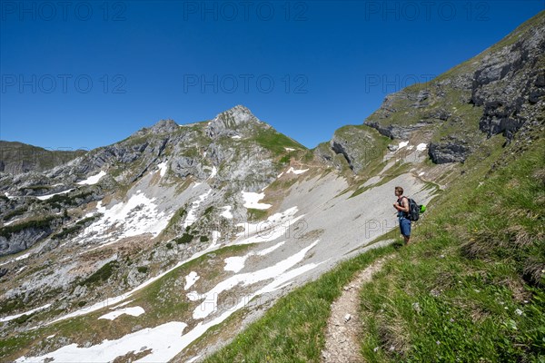 Hiker on a hiking trail