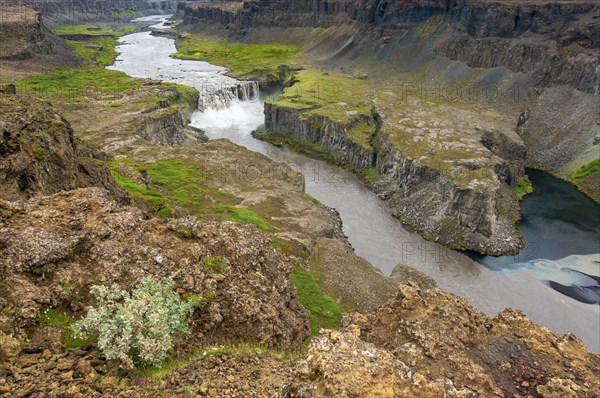 Waterfall falls from green volcanic plain over basalt columns into a canyon