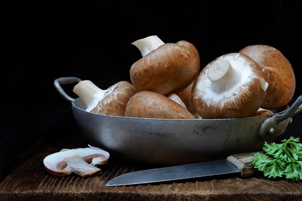 Brown cultivated mushrooms in shell with knife