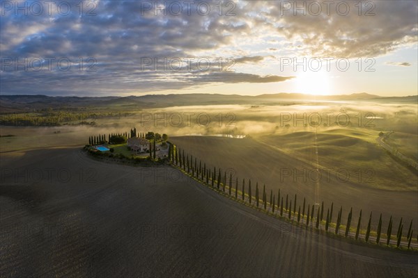 Country estate Poggio Covili with cypress avenue