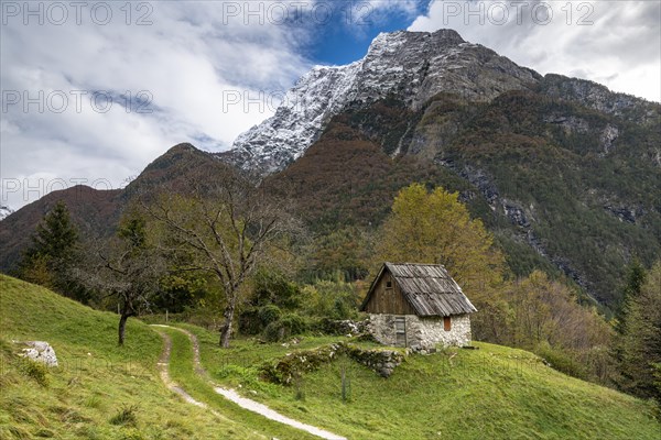 Alpine hut